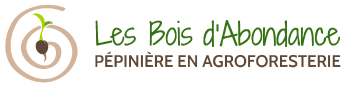 Les Bois d'Abondance Logo